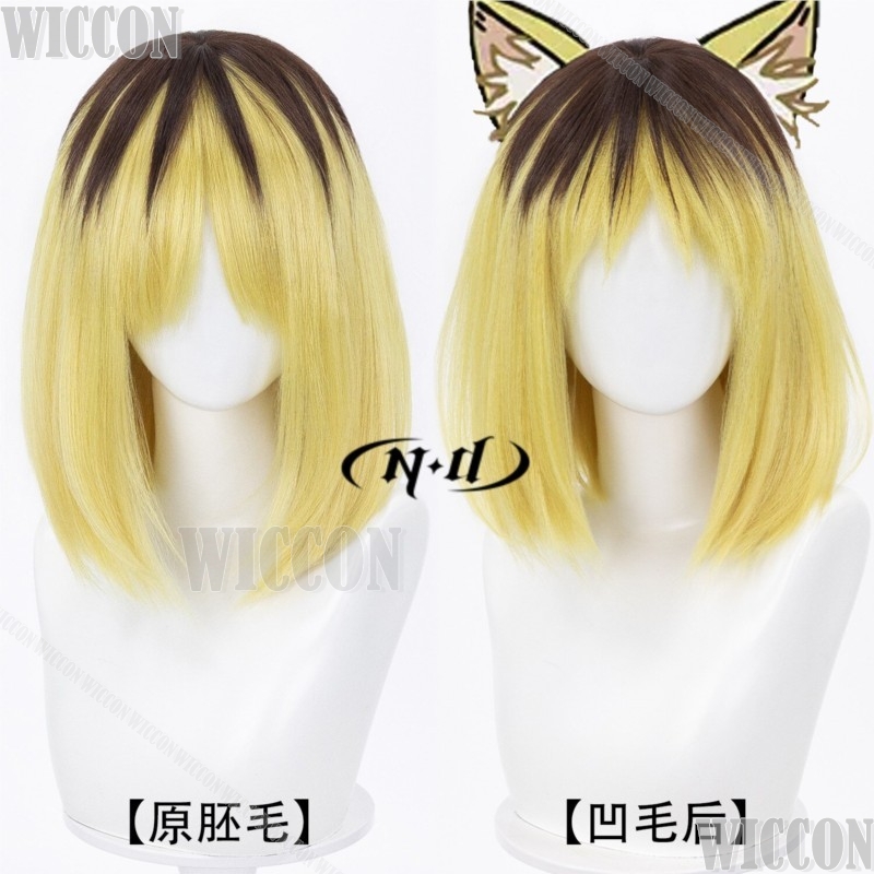 Yanineko Hamenko 2026 Anime Ch - Anime Cosplay Events 2026 avaliação e preço